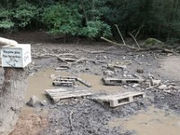 22-09 17-05-25-IMG 9433 - Mais qui sont les cochons